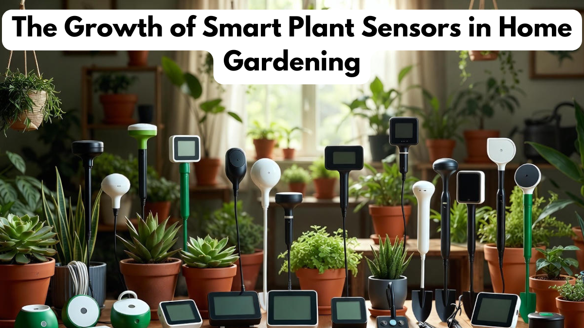 The Growth of Smart Plant Sensors in Home Gardening