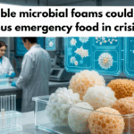 How edible microbial foams could become nutritious emergency food in crisis zones
