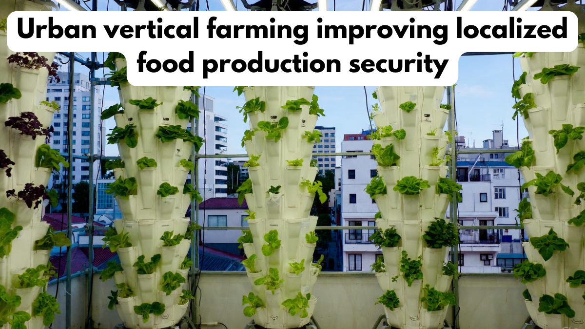 Urban vertical farming improving localized food production security